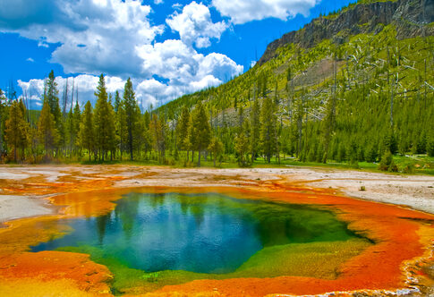 Vibrant hot spring with blue water surrounded by colorful mineral deposits and trees under a cloudy sky